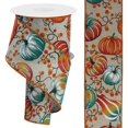 2pcs Pumpkins Bittersweet Ribbon Light Natural/Teal (10 Yards) Craft