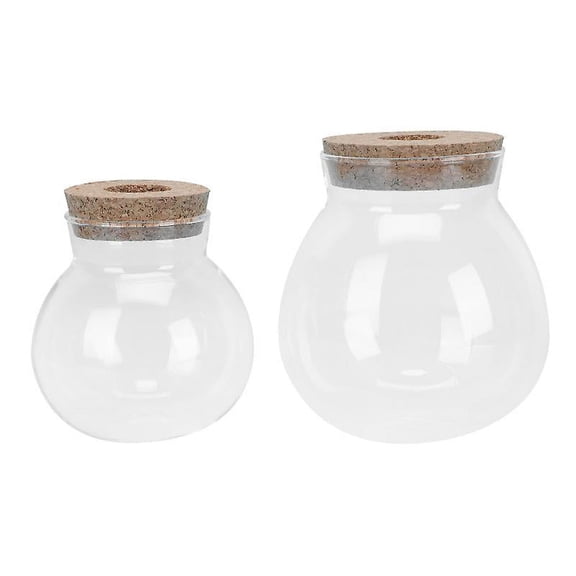 2pcs Simple Glass Vase