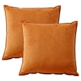 thumbnail image 1 of 2pcs Use living room sofa pillow-pillow with pillow core-farmhouse decoration-velvet, 1 of 6
