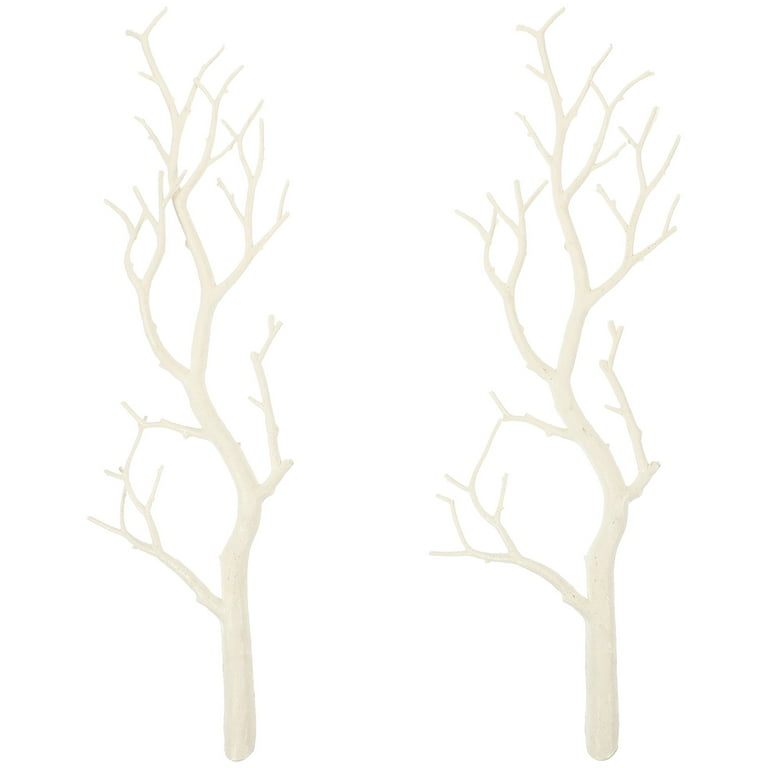 Stems and Decorative Branches
