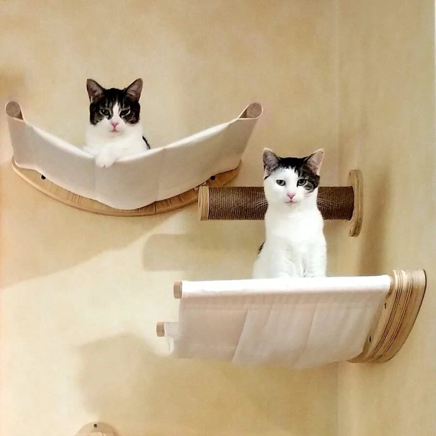2pcs Wooden Cat Hammocks And Perches, Stable Cat Wall Shelf For Playing