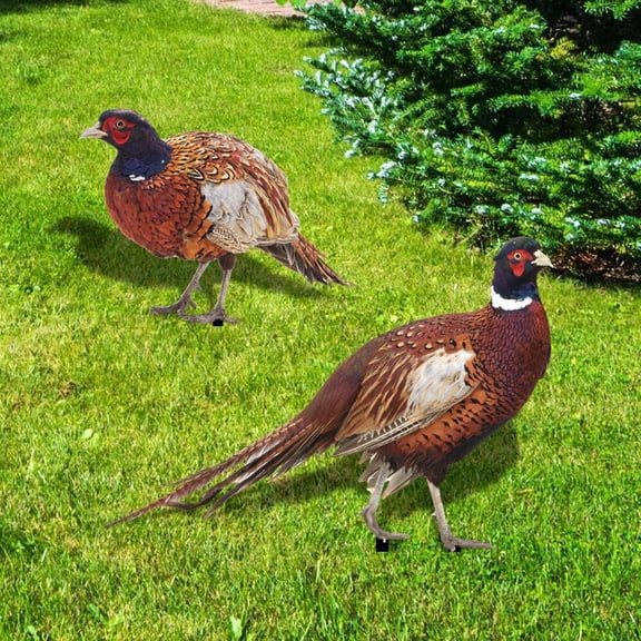 2pcs chicken garden ornaments pheasant garden ornaments outdoor sign rooster Ab Smile Home