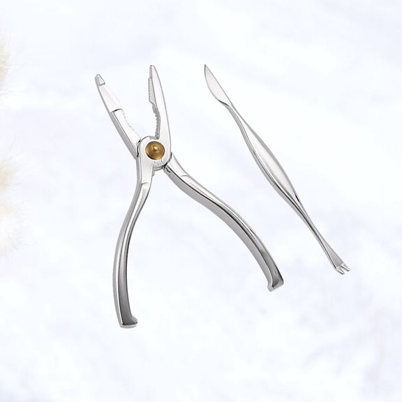 2pcs/set Stainless Steel Crab Tools Home Hairy Crabs Peeling Crab Claw Clip Artifact Artifact To Remove Crab To Eat Kitchen Small Gadgets Silver (1pc Crab Needle and 1pc Crab Plier)