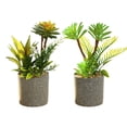 thumbnail image 1 of 2pcs simulation with rod succulent combination bonsai simulation flower creative artificial home decoration - type:style1;, 1 of 5