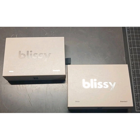 2x BLISSY MOMME 22 Standard WHITE MULBERRY SILK PILLOWCASES New In Box Lot Of 2