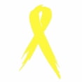 thumbnail image 1 of 2x Two SARCOMA/BONE Cancer Awareness Ribbon Car Vinyl Decal Sticker 3" x 5" Yellow, 1 of 1