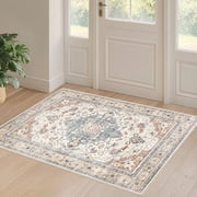 Toyoso 2x3 Area Rug Big Carpet for Living Room Bedroom Home Decor Washable Oriental Vintage Floral Distressed Rugs Large