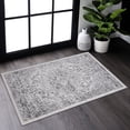 thumbnail image 1 of 2x3 Area Rug In Silver, Non-shedding, Stain , Decorates Living Room, Bedroom, Dining Ideal For Dining, Office, 1 of 2