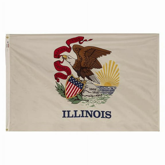 2x3' DURAWAVEZ ILLINOIS NYLON FLAG CH&G