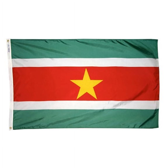 2x3' DURAWAVEZ SURINAME NYLON FLAG CH&G