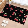 thumbnail image 1 of 2x3 Door Mat Rug, Cherry Rustic Non-Skid Rubber Backing Large Rectangle Rugs - Living Room Bedroom Home Office, Spring Summer Tropic Fruit Black Indoor Floor Mat Carpets Washable Rug, 1 of 9