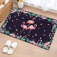 thumbnail image 1 of 2x3 Ft Entryway Area Rug, Pink Flamingo Kitchen Rug Runner Washable Floor Mat, Green Summer Tropical Botanical Black Non Slip Indoor Door Mat Throw Carpet for Bathroom Living Room Bedroom, 1 of 8