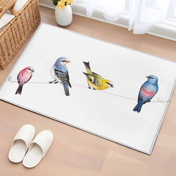 2x3 Ft Entryway Area Rug, Watercolor Birds Kitchen Rug Runner Washable Floor Mat, Spring Animal Rustic Non Slip Indoor Door Mat Throw Carpet for Bathroom Living Room Bedroom