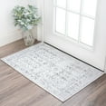 thumbnail image 1 of Bliss Rugs Traditional Indoor Doormat Persian Floor Mat for Entrance, Indoor Door Mat | Gray, 2' x 3', 1 of 8