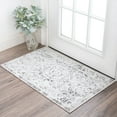 thumbnail image 1 of 2x3 Modern Gray Small Area Rug, Throw Mat for Indoor Entry | Ideal for Kitchen or Bathroom Rugs 2' x 3', 1 of 8