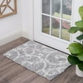 thumbnail image 1 of Bliss Rugs Transitional Floral 2' x 3' Silver and White Polypropylene Indoor Area Rug, 2' x 3', 1 of 10