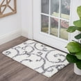 thumbnail image 1 of Bliss Rugs Transitional Floral 2' x 3' White and Gray Polypropylene Indoor Area Rug, 2' x 3', 1 of 10