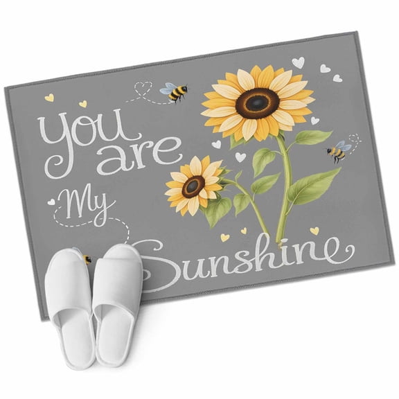 2x3 Washable Area Rugs,Letters You Are My Sunshine Non-Slip Soft Rug Indoor Carpet,Floor Rugs for Living Room Bedroom