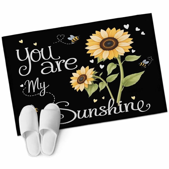 2x3 Washable Area Rugs,You Are My Sunshine Words Non-Slip Soft Rug Indoor Carpet,Floor Rugs for Living Room Bedroom