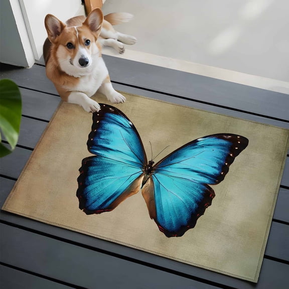 2x3 Washable Entryway Rug, Blue Butterfly Non-Slip Area Rug for Front Door Kitchen Bathroom, Vintage Brown Retro Bug Farm Indoor Floor Mat for Home Decor