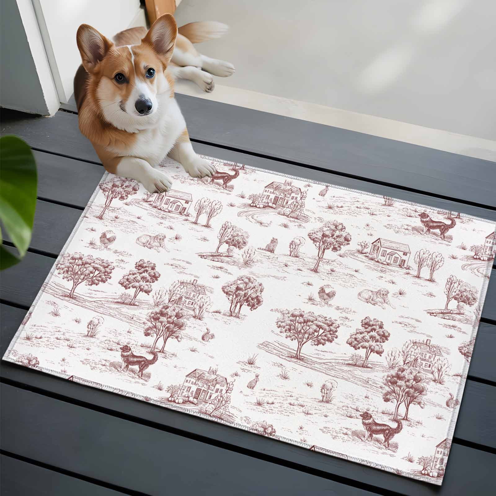 2x3 Washable Entryway Rug, Country Style Non-Slip Area Rug for Front ...