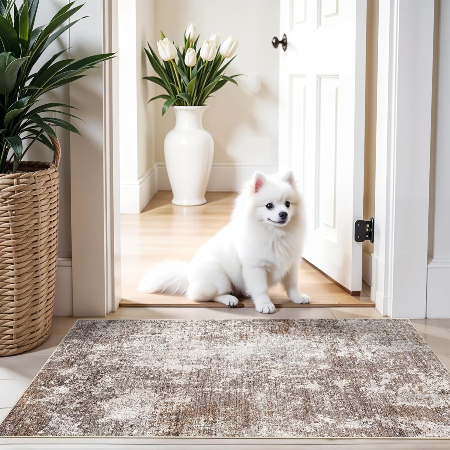 2x3 Washable Non-Slip Area Rug – Small Throw Rug for Kitchen, Entryway ...