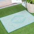 thumbnail image 1 of 2x3 Water Resistant, Small Indoor Outdoor Rugs for Patios, Front Door Entry, Entryway, Deck, Porch, Balcony | Outside Area Rug for Patio | Aqua, Floral | Size: 2' x 3', 1 of 8