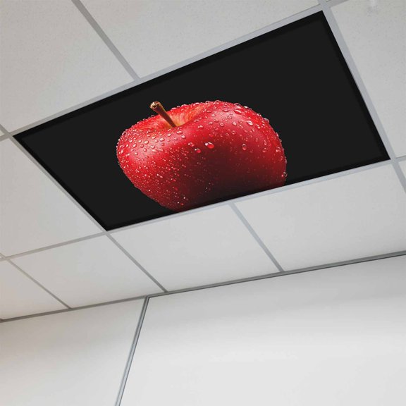 2x4 ft Fluorescent Light Cover for Ceiling Red Apples on Black Magnetic Light Filters, Farm Fruit Water Drops Ceiling Lampshades for Home School Office 1Pcs