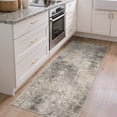 thumbnail image 1 of DEORAB 2x7 Runner Rugs for Hallway, Low Pile Lightweight Soft Machine Washable Rugs, Non Slip Backing Indoor, Rug for Living Room, Laundry Room and Bathroom in Brown, 1 of 6