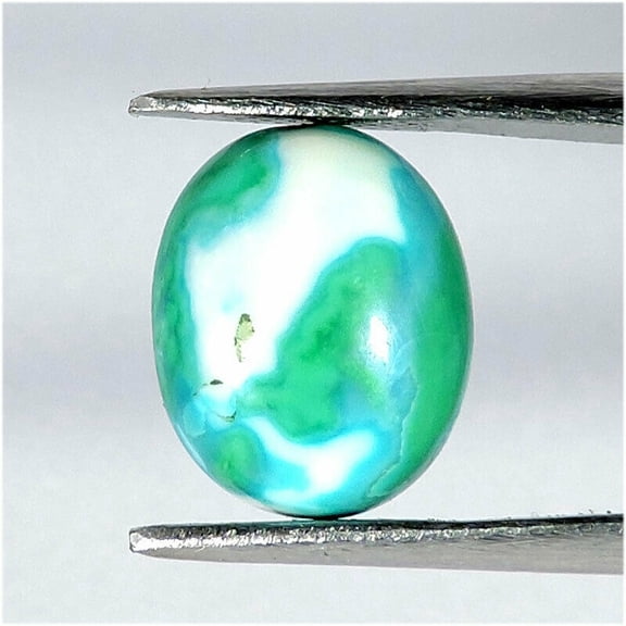 3.00Cts Fantastic Natural Bisbee Turquoise Oval Shape Cabochon Loose Gemstone