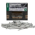 3-1/2 in Framing Common Nail 16d Size, Outdoor Galvanized Finish, 1 lb ...