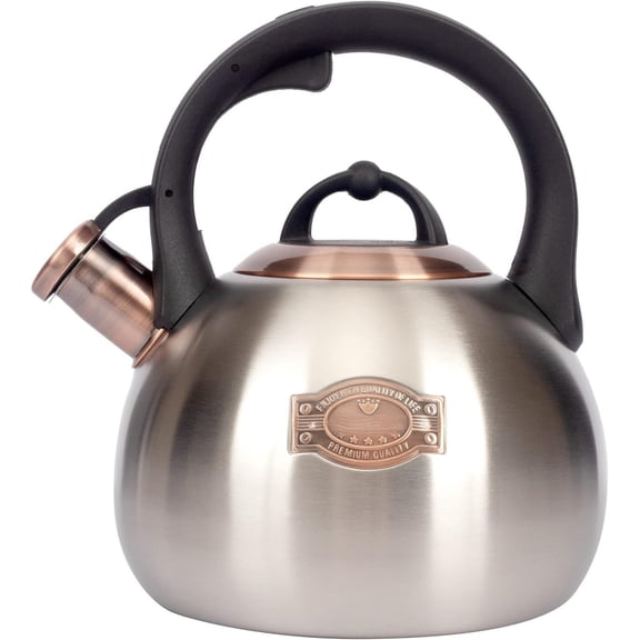 3.1 Quart Teal Whistling Kettle for Stove Top, Grade Stainless Steel
