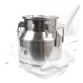 3.17Gal/12L Milk Can 304 Stainless Steel Milk Jug,Thick Handle with