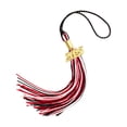 thumbnail image 1 of 3/2/1pcs 2025 Graduation Tassel Academic Graduation Cap Tassels Multi-Color 2025 Tassel With 2025 Year Date For Graduation Students Grad Cap Decorations Graduate Gifts, 1 of 6