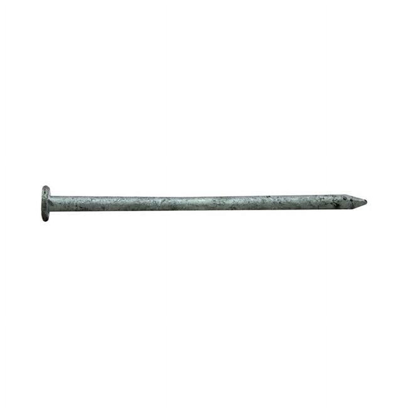 3.25 in. 12D 5 lbs Common Nail