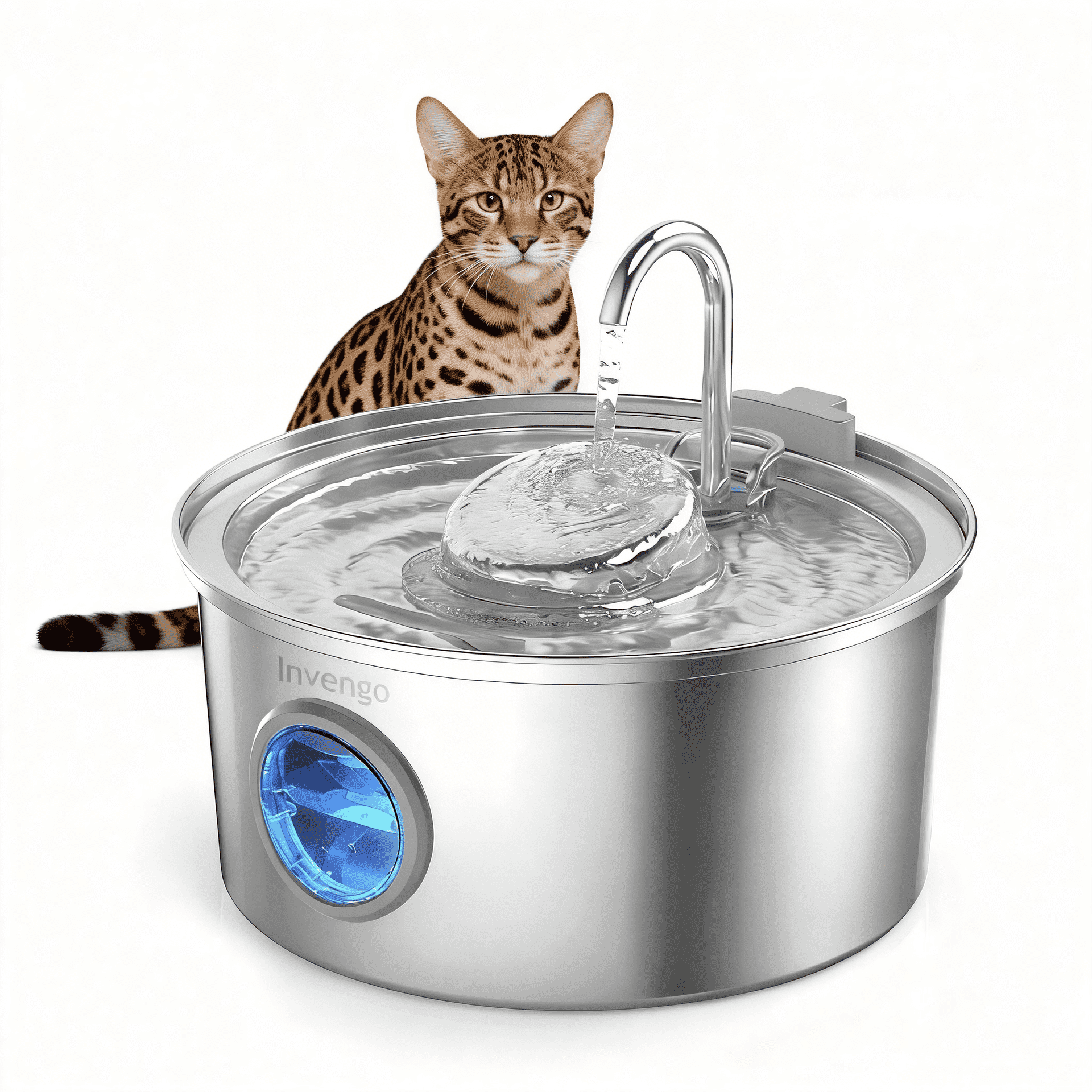 3.2L Stainless Steel Pet Water Fountain, Invengo Automatic Drinking Dispenser with 2 Flow Modes, Quiet Pump for Cats & Small Dogs