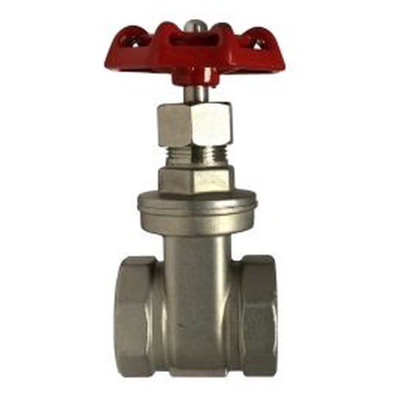 3/4 316 SS Gate Valve, MISC SS VALVES, Valves