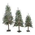 thumbnail image 1 of 3, 4 & 5 ft. Pre-Lit Flocked Alpine Artificial Christmas Trees - Multi-Color Lights - Set of 3, 1 of 1