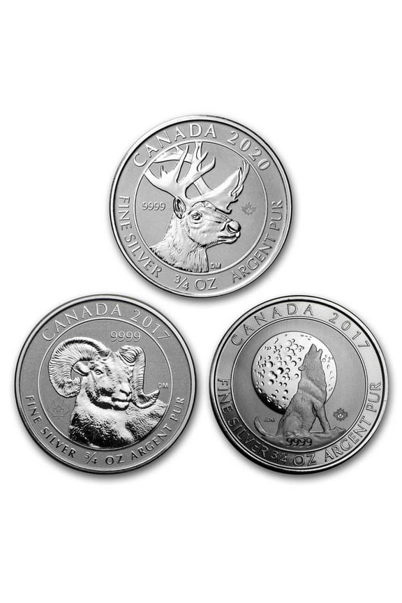 3/4 oz Silver Coin - Random Mint