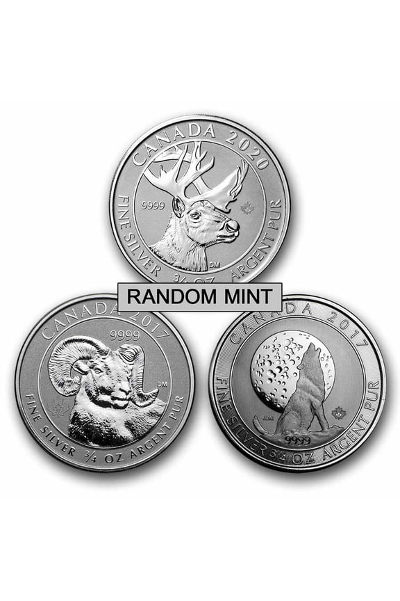 3/4 oz Silver Coin - Random Mint