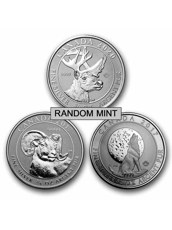 3/4 oz Silver Coin - Random Mint
