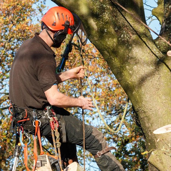 3/4 x 100FT, High Force Braided Polyester Arborist Tree Rope, 24 Strand Bull Rope, Pulling Rope, Heavy Duty Tree Rope for Swings, Camping (Blue and White)