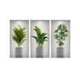 thumbnail image 1 of 3/4PCS 3D Three-Dimensional Potted Plants Wall Decals,Green Plant Wall Decal,DIY Peel and Stick Tropical Potted Wall Stickers Adhesive Wall Stickers for Living Room, Entrance Decoration Wall Sticker, 1 of 8