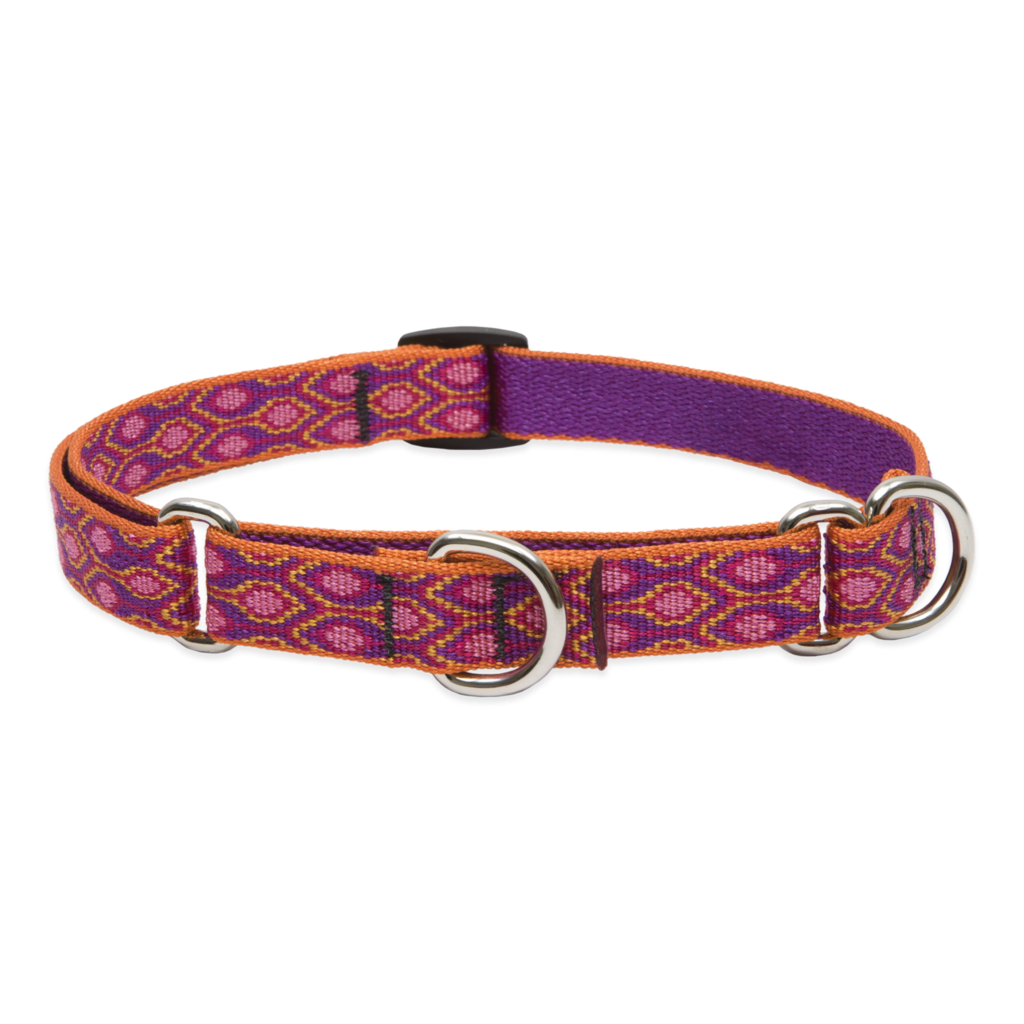 LupinePet Originals 3/4" Alpen Glow 14-20" Martingale Collar for Medium and Larger Dogs