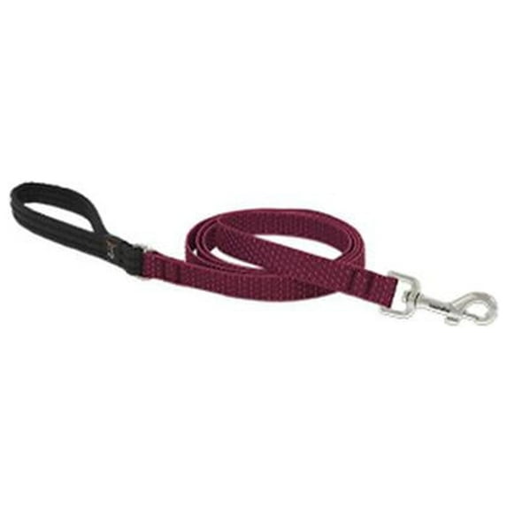 3/4in Berry 6ft Dog Leash