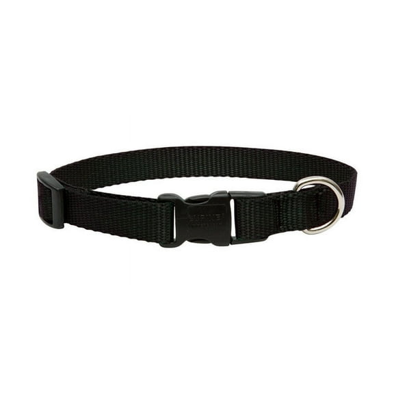 LupinePet Basics 3/4" Black 9-14" Adjustable Collar for Small Dogs