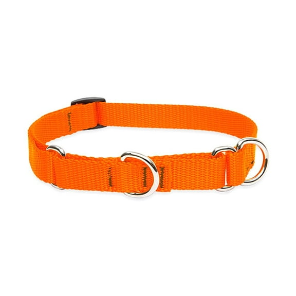 LupinePet Basics 3/4" Blaze Orange 14-20" Martingale Collar for Medium and Larger Dogs