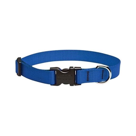 LupinePet Basics 3/4" Blue 13-22" Adjustable Collar for Medium and Larger Dogs