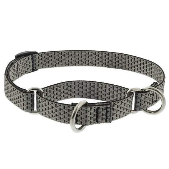 3/4in Granite 10-14 Martingale Dog Collar