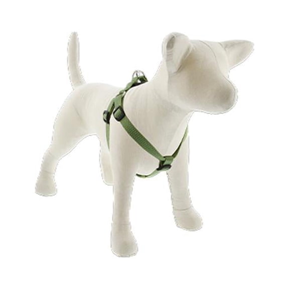 3/4in Moss 20-30 Step In Dog Harness